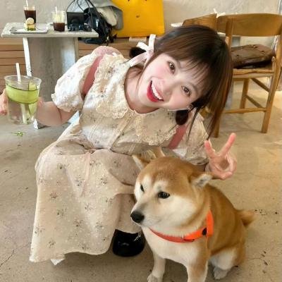 宝贝的新朋友