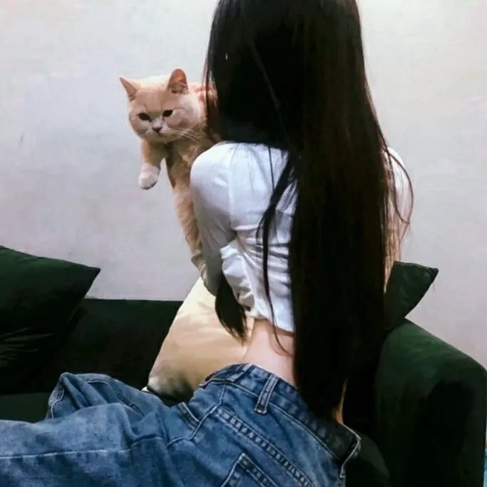 天降美食粤语
